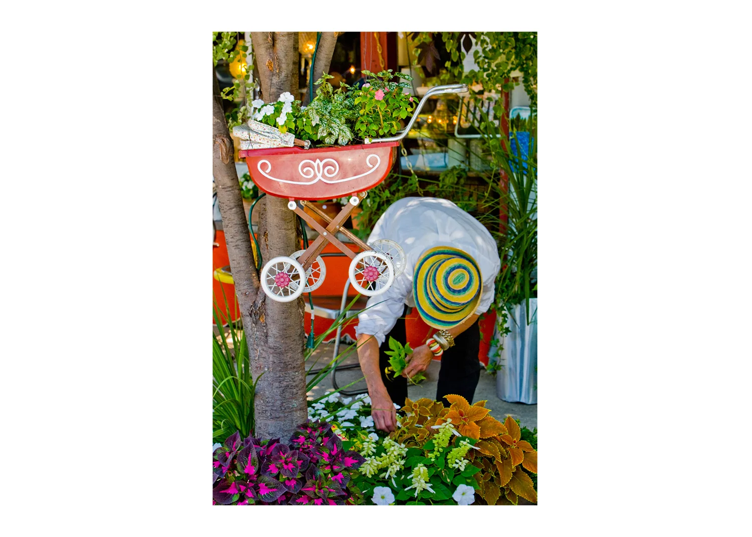 flowers.jpg