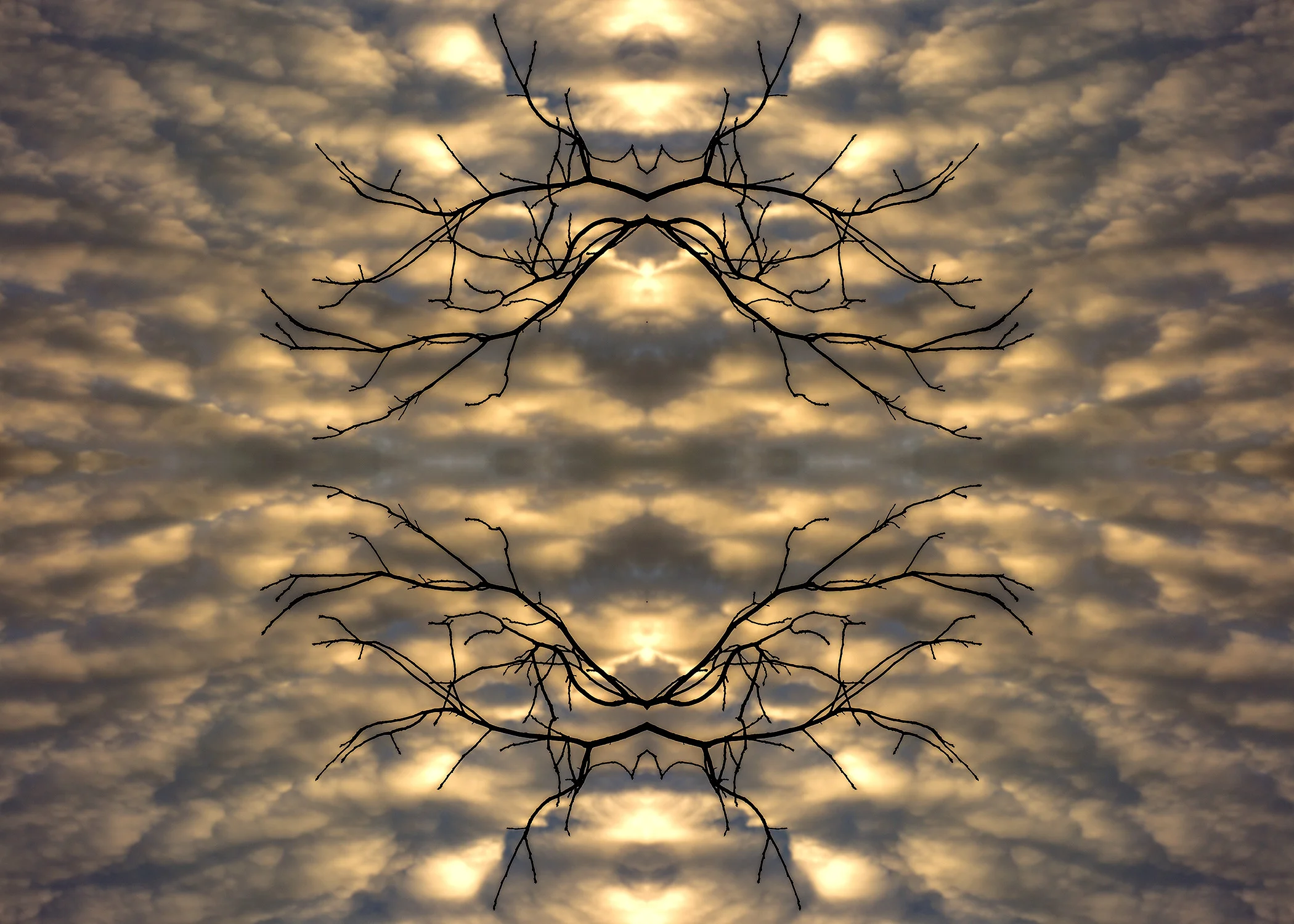 Untitled-1.jpg