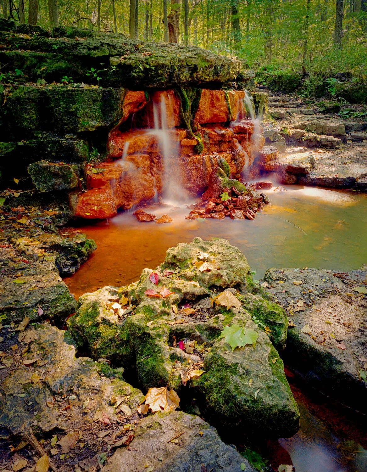 kissell_060808_5041.jpg