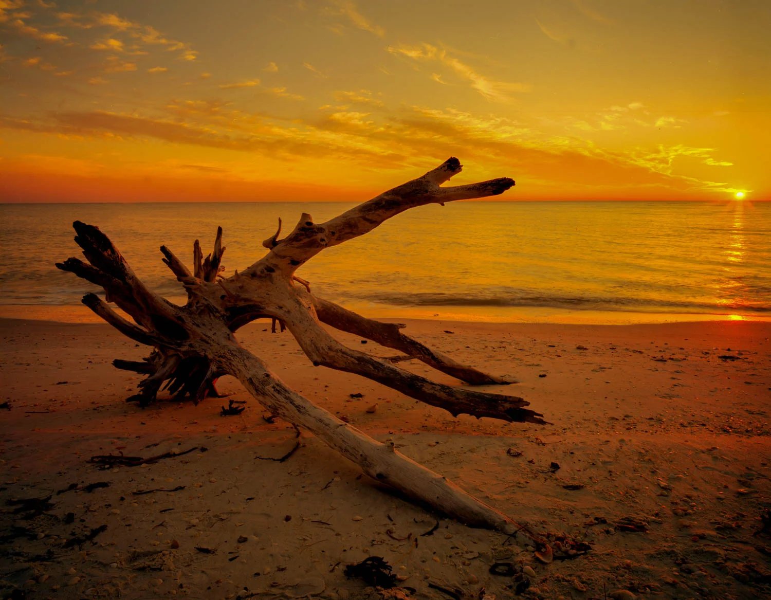 kissell_060808_5046.jpg