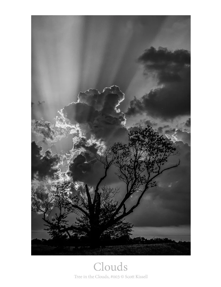 #003 Treeinclouds.jpg