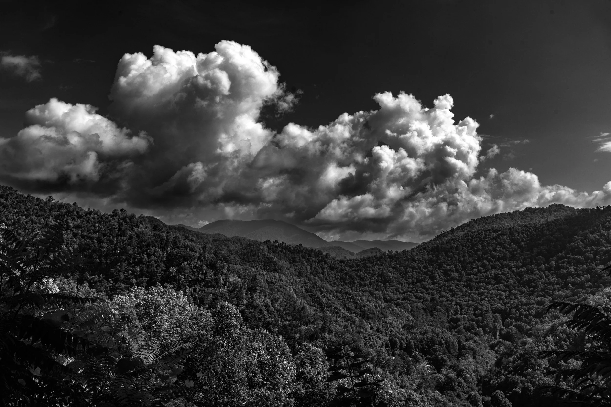 Kissell_20230714_NCVac_0265.jpg
