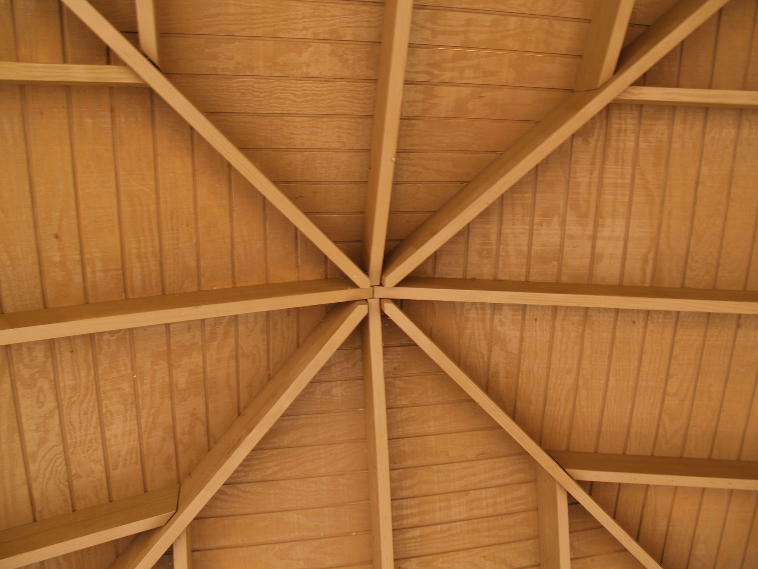 Ceiling T1-11