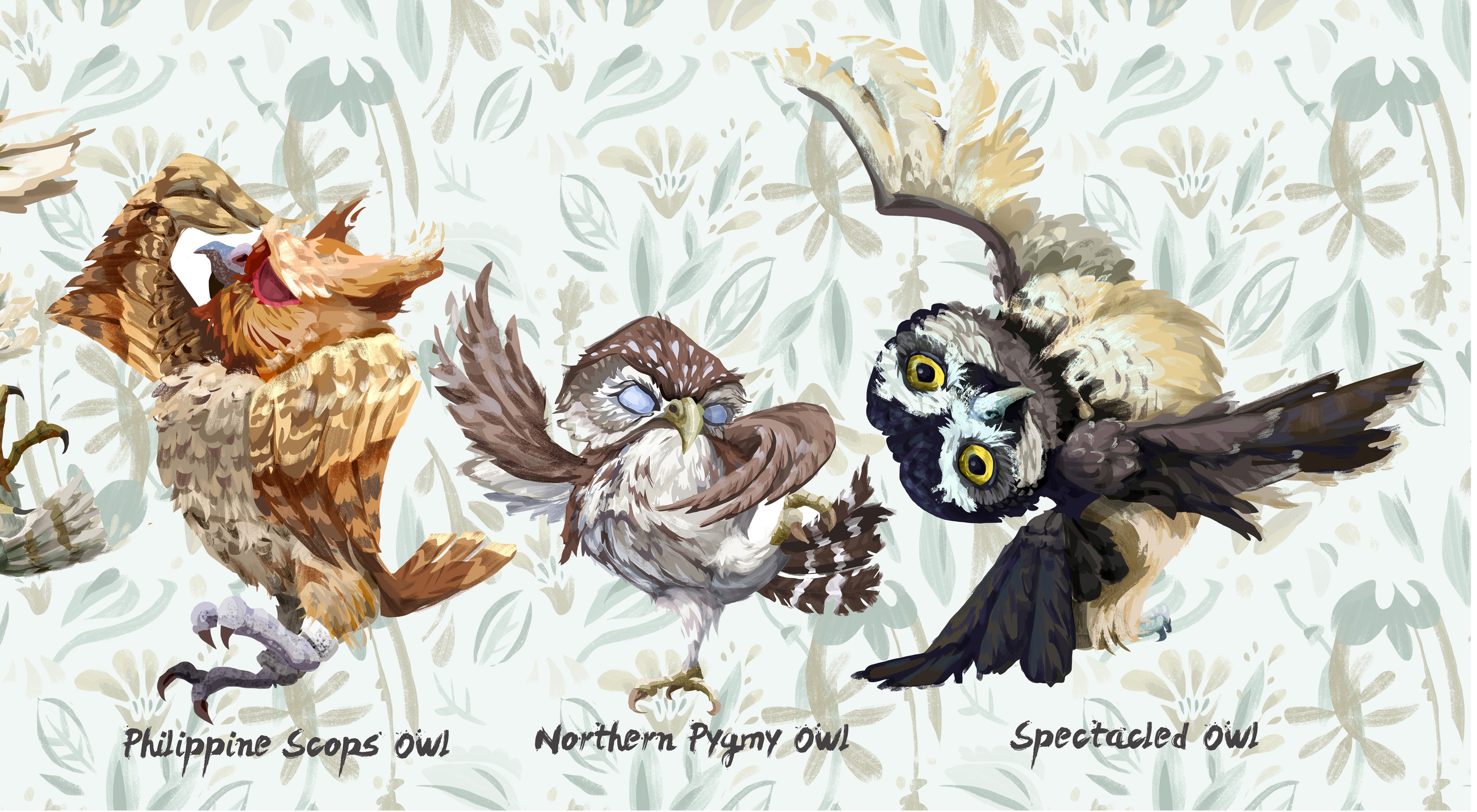 Owl Character Study for Children
