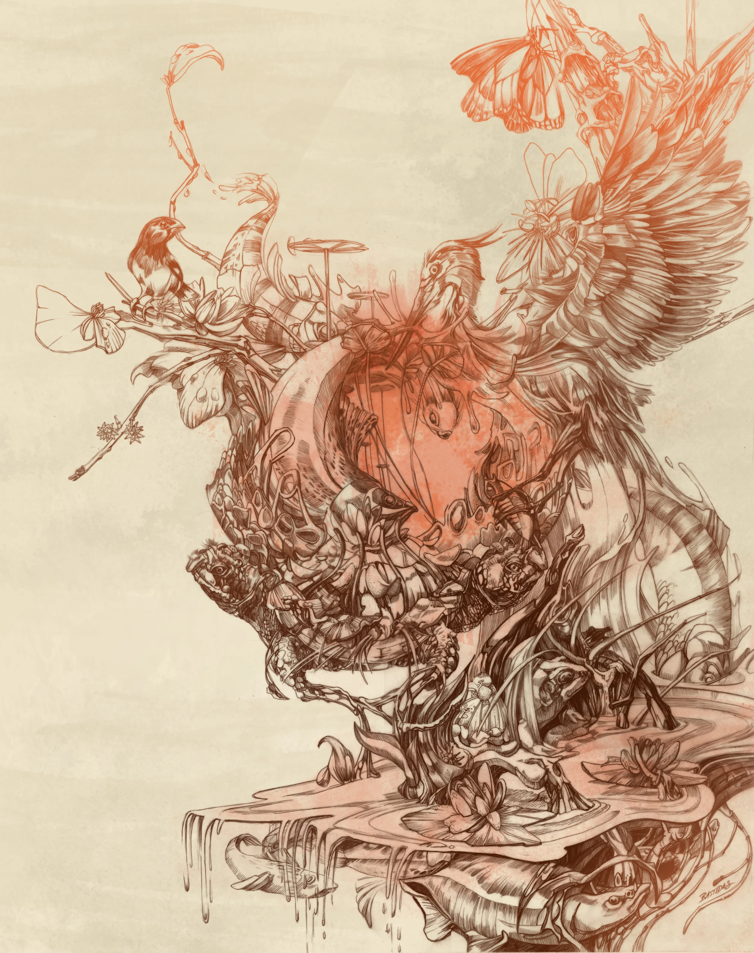 Pennsylvania Wetlands