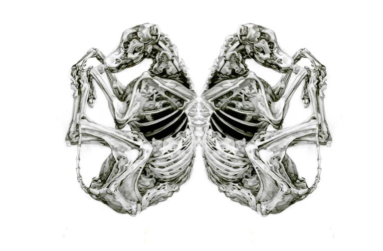 Mirrored Decay
