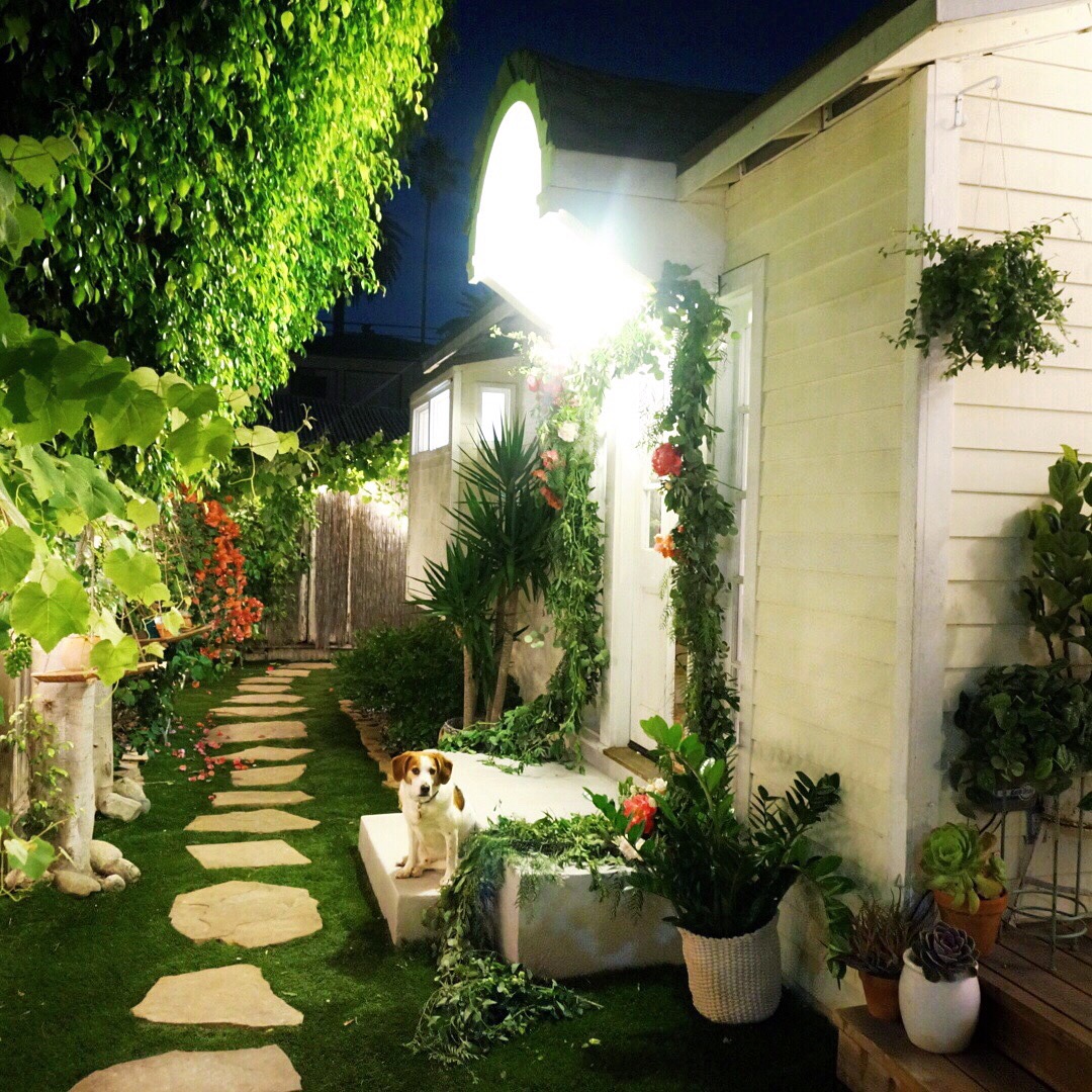 Above: The stoop and side garden, where we said our vows.