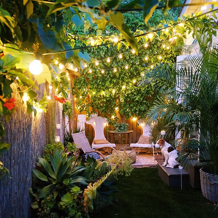 View of the back patio, showing the distance from the bedroom stoop to the garden nursery lounge. 