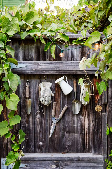 "Go Small" Dinner on Refinery29