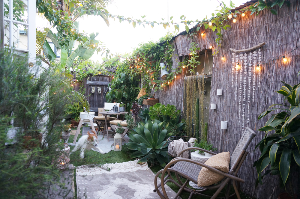 Above: 🐶 🐶 Stubs and Soph frolicking around our updated lil' garden.