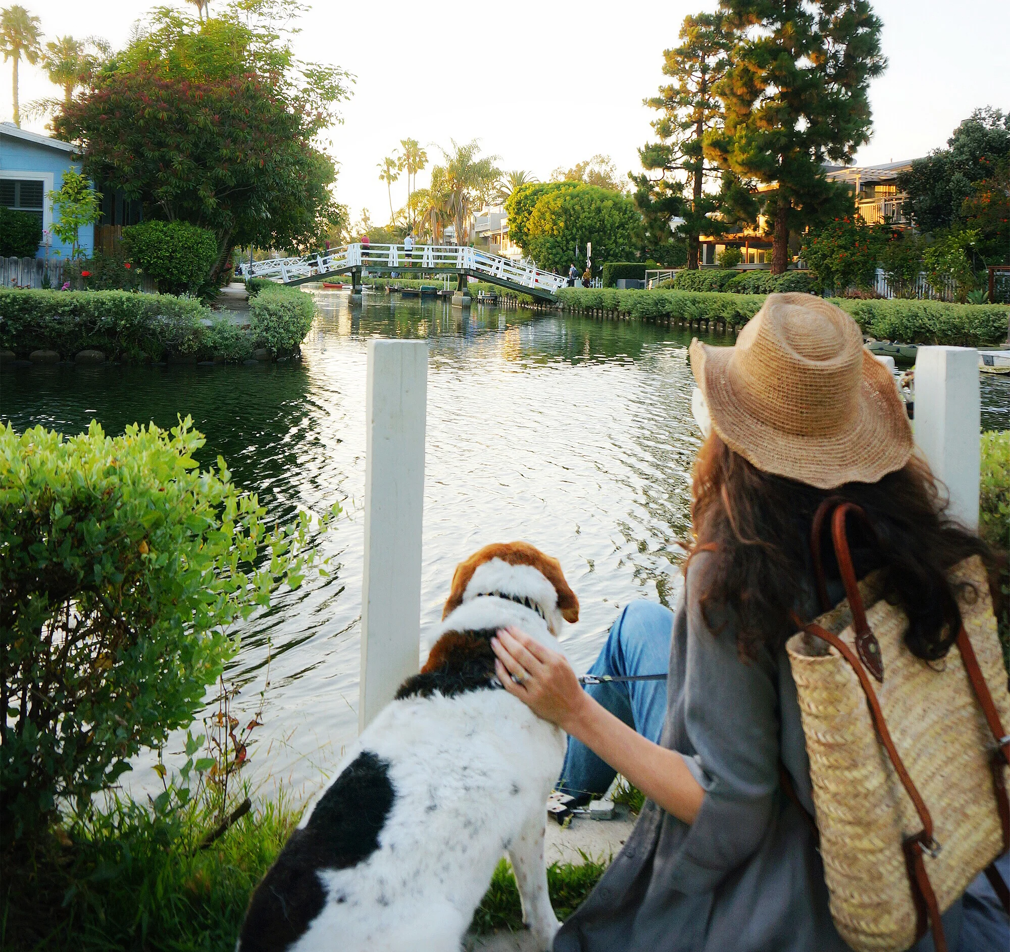 Lil' video from the Cottage