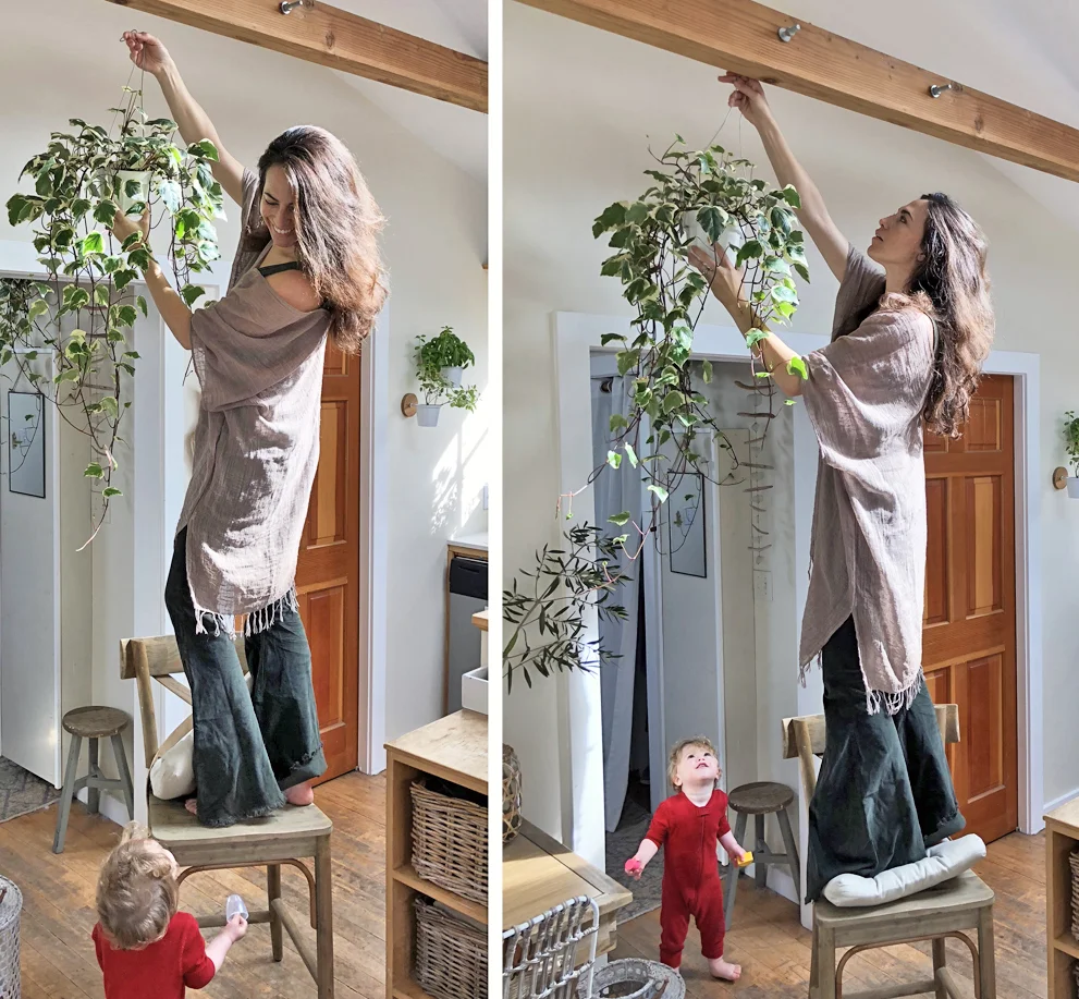 whit hanging plants.jpg