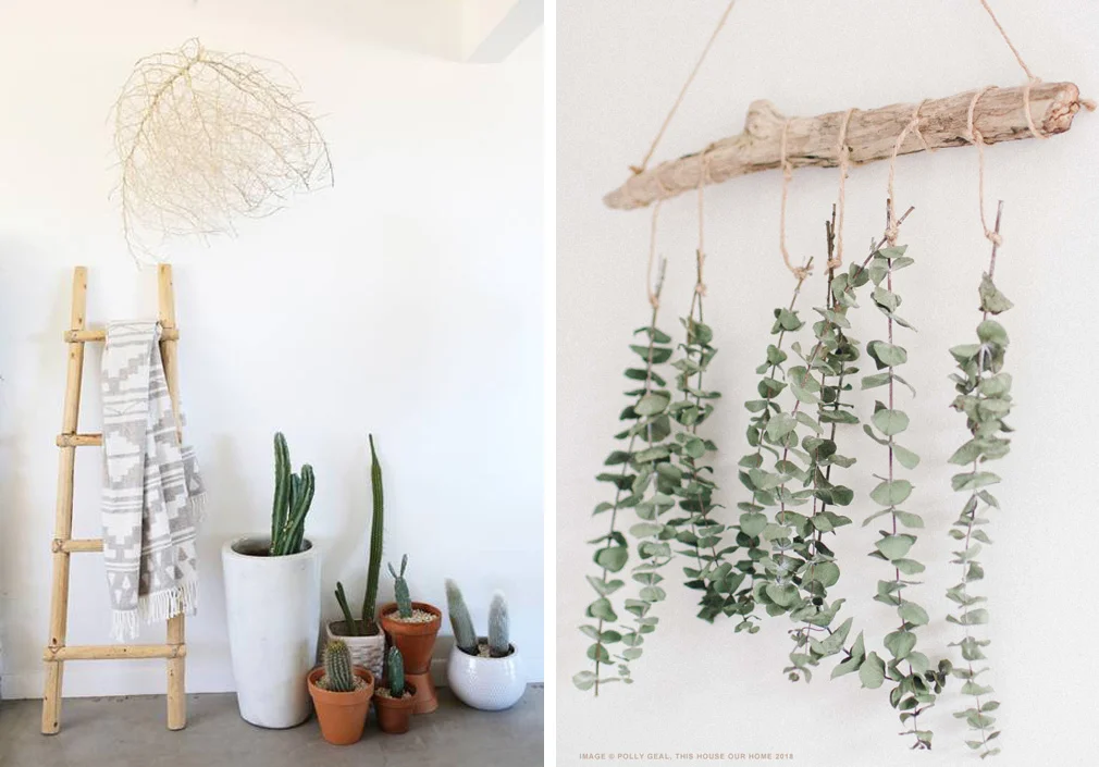 Left: My friend Lindsay of Casa Joshua Tree suspended a tumbleweed from her ceiling to create striking visual impact at no cost. Right: Polly of This House Our Home tied dried eucalyptus to a driftwood branch, creating a lovely, natural work of wall art that can be modified to be as full or sparse as desired.