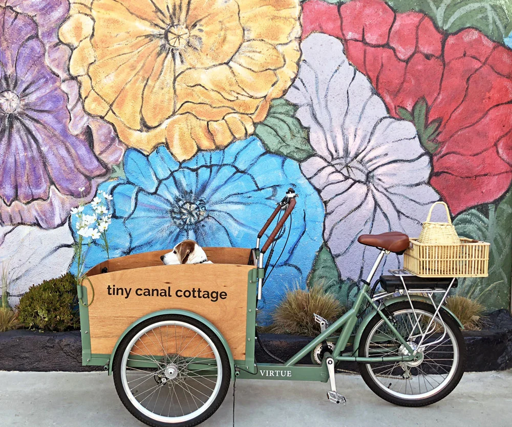 blog_stubs bike floral wall.jpg