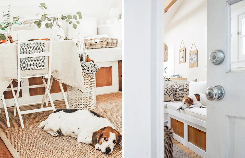Left: Stanlee at the cottage, photographed for the chalkboard in 2015. right: stanlee at the cottage, photographed for sfgirlbybay in 2018.
