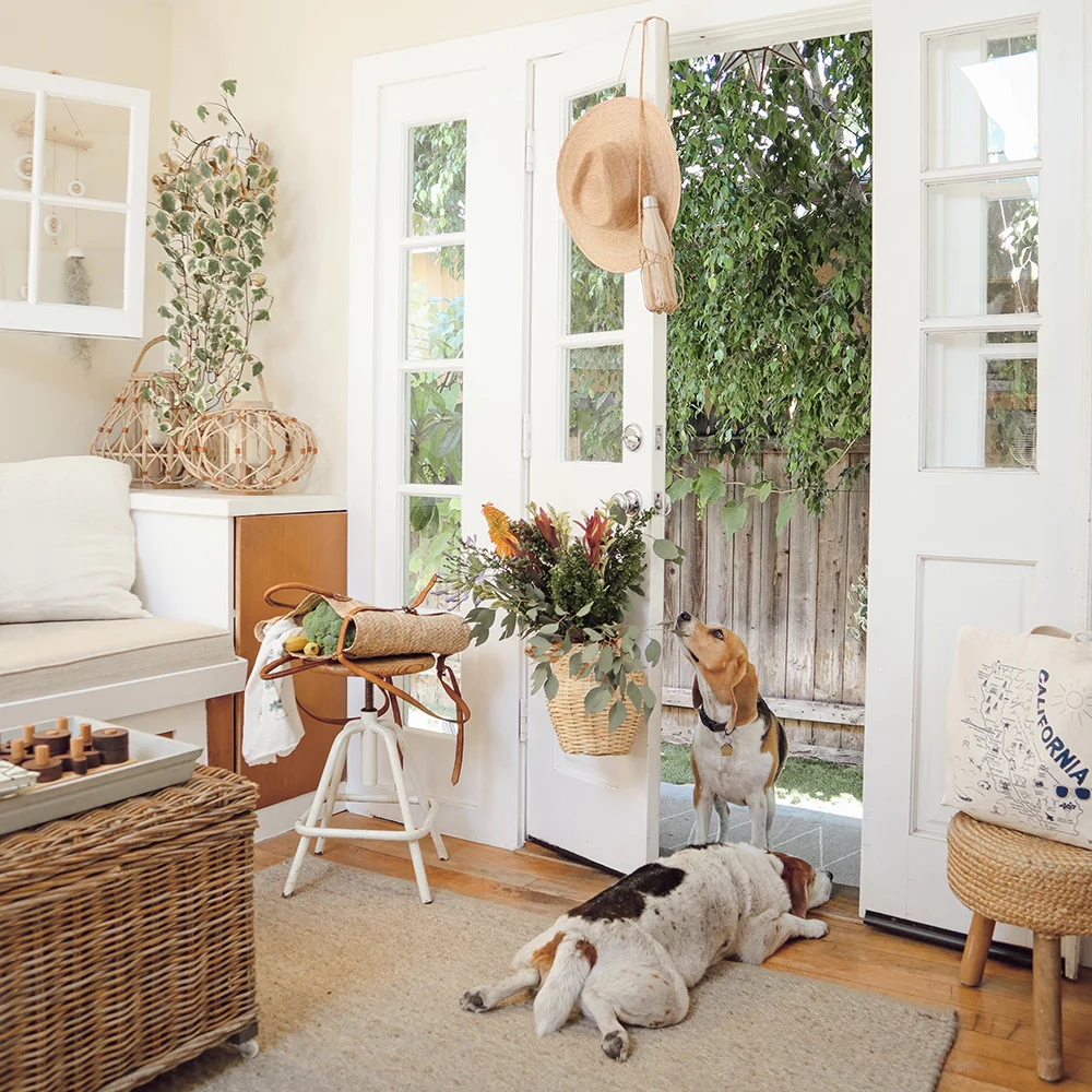 blog_pupsdoorwaymarket.jpg
