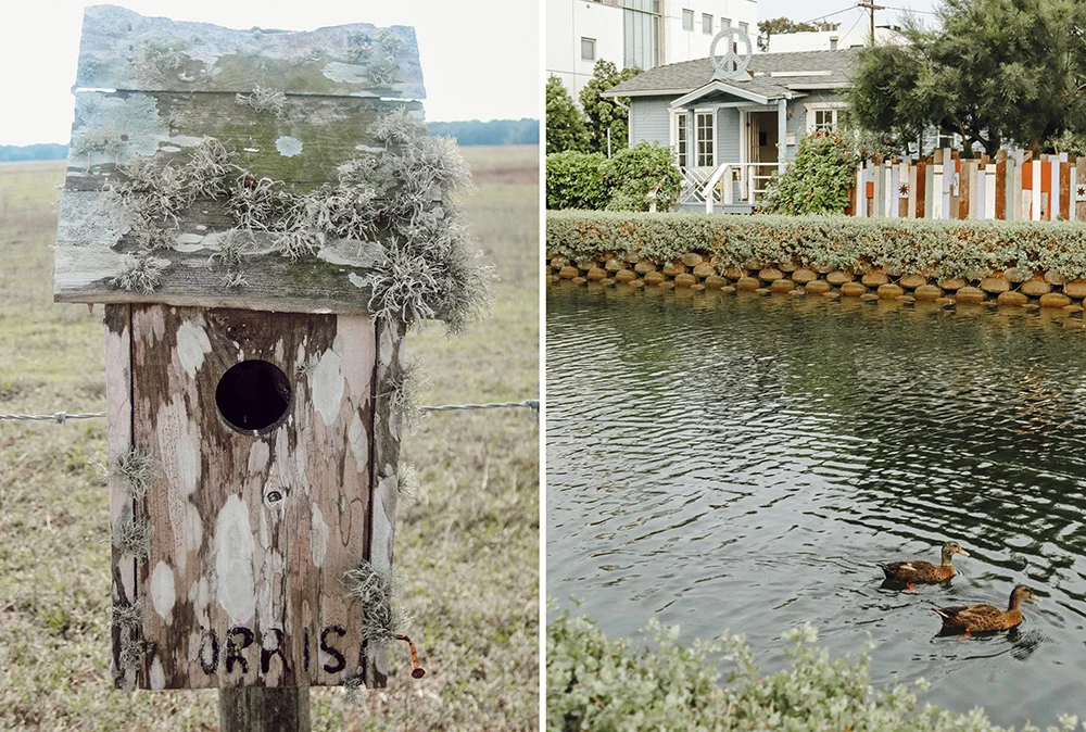 Left - The old handmade Morris birdhouse on the prairie where I grew up. Right - Ducks on the Canals by our tiny home in Venice.