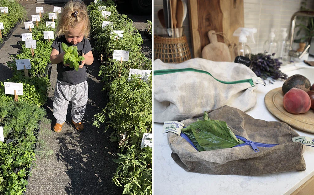 herbs.jpg