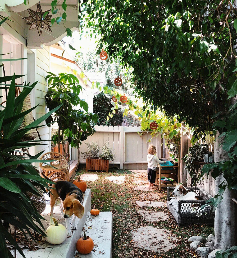 tinyhousegardenbeagles.jpg