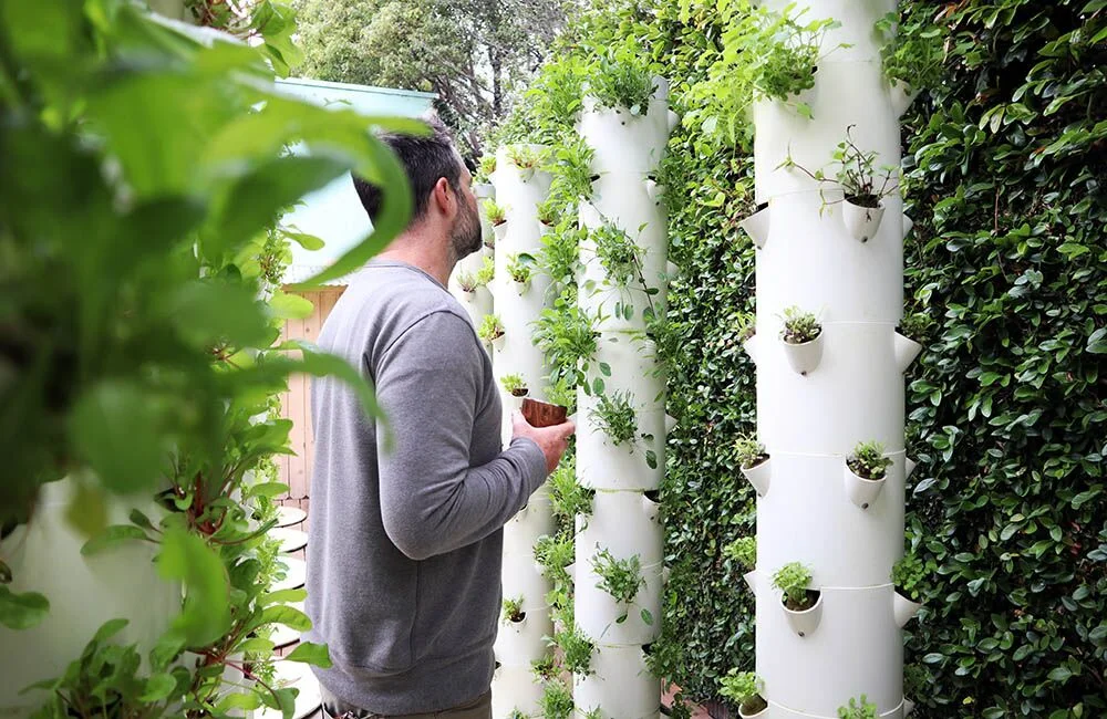 tinyhouse_urbangarden_swell_smallspaceplants_adamwinkleman.jpg