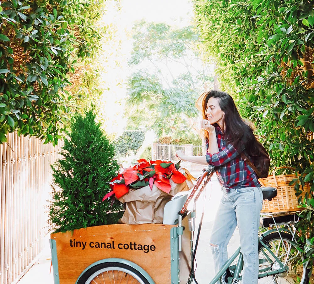 Embracing a Green Holiday Season