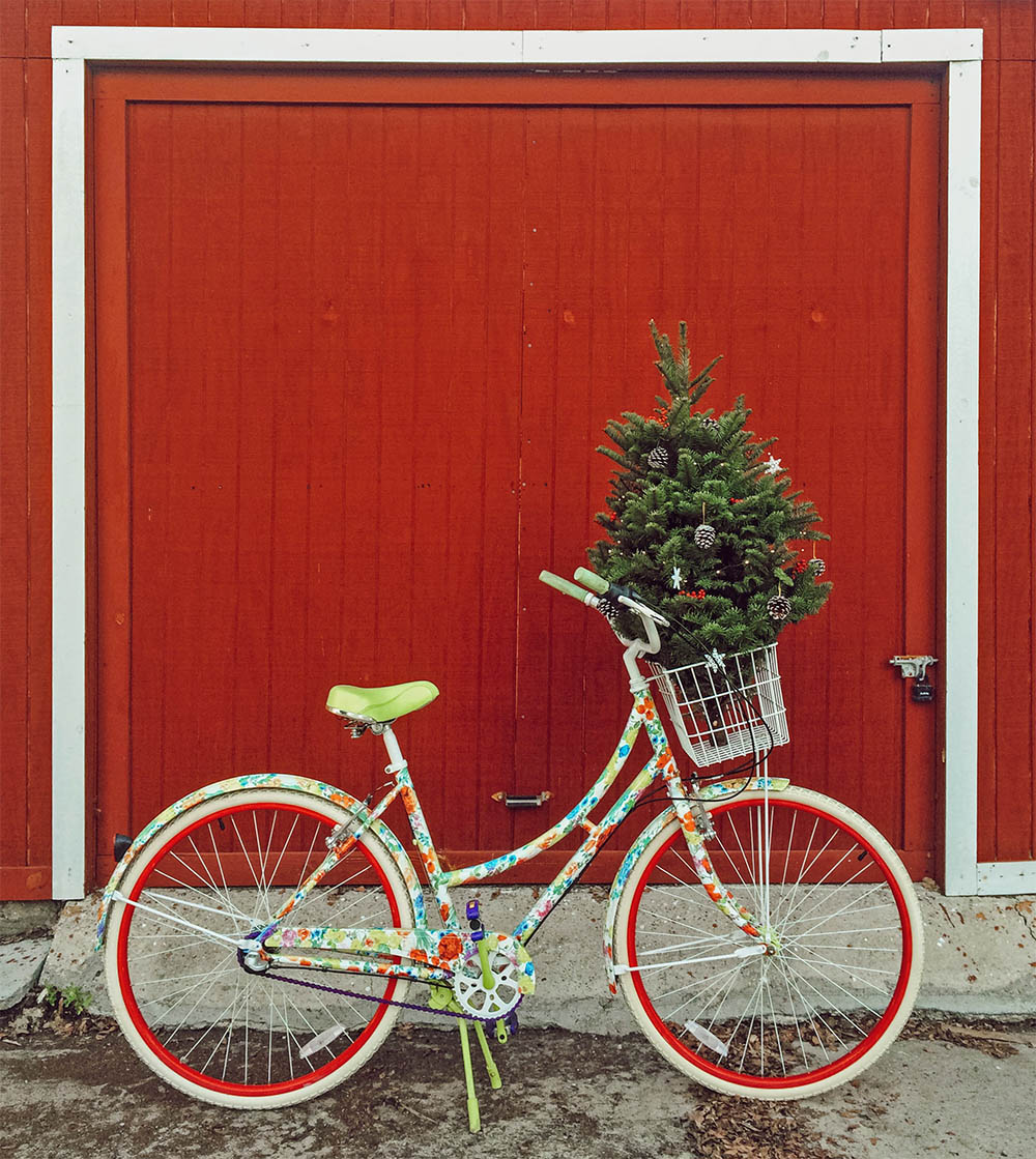 blog_tinyhousechristmastree_bike.jpg