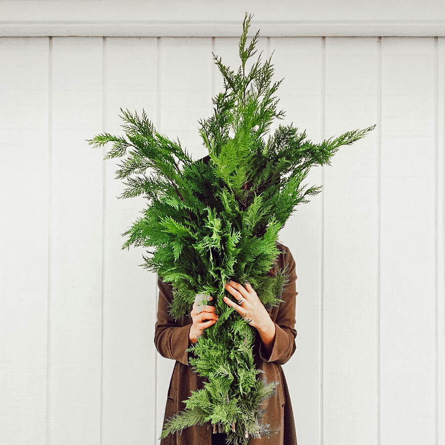 blog_tinyhousegreenery.jpg