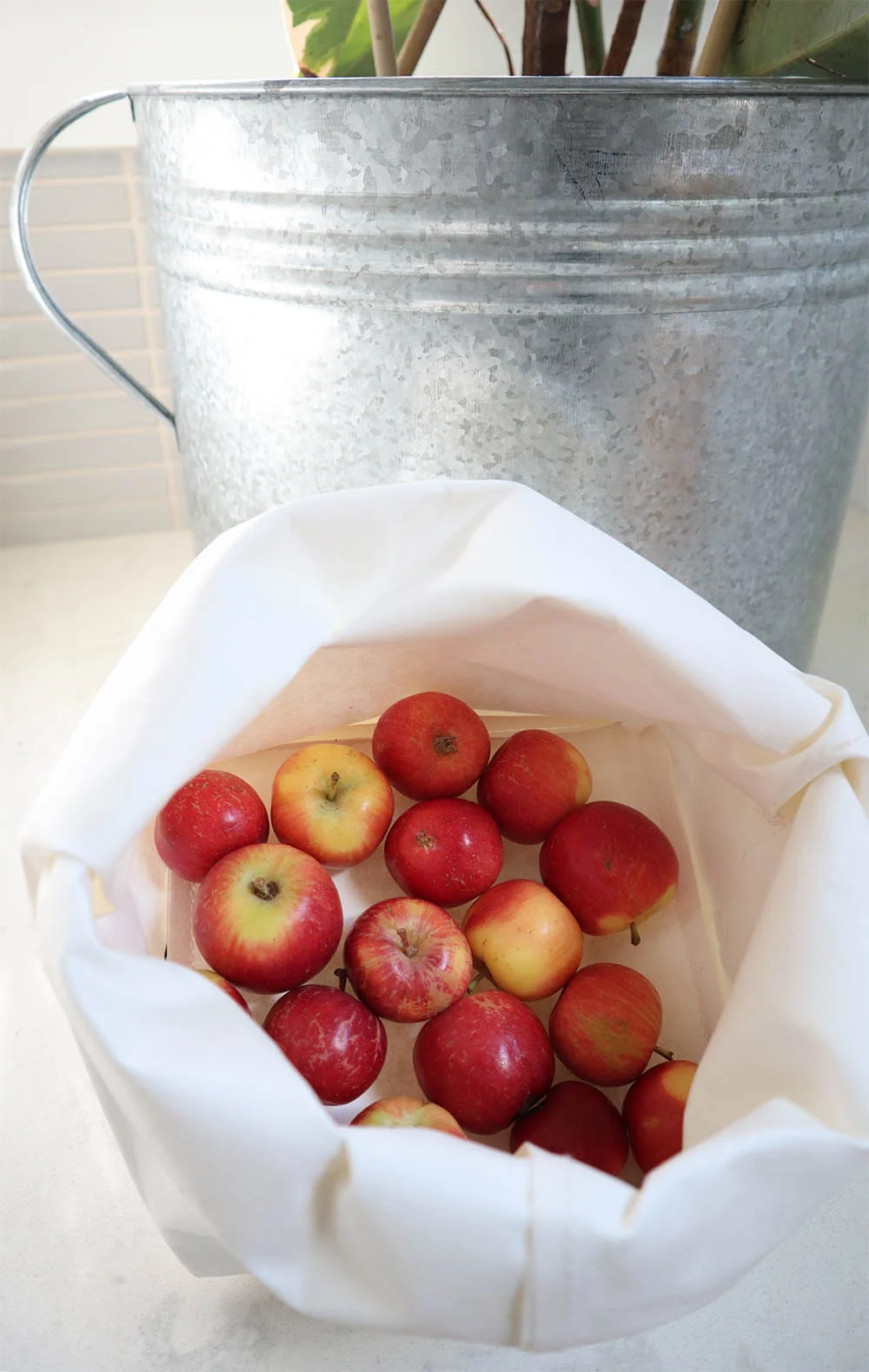 tinyhouse_apples_paperbag.jpg