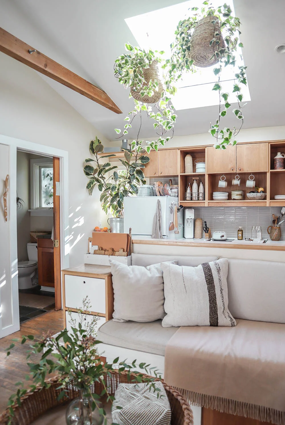 smallspace_plants3.jpg