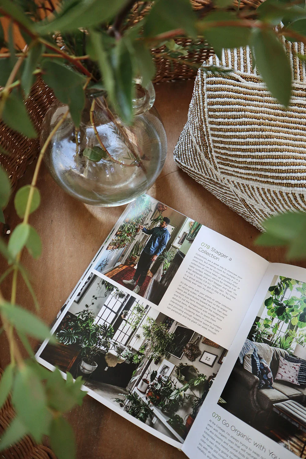 hiltoncarter_smallspacestyle_tinycanalcottage_plant.jpg
