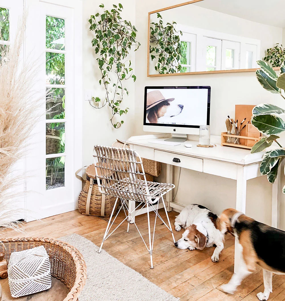 baskets_office.jpg