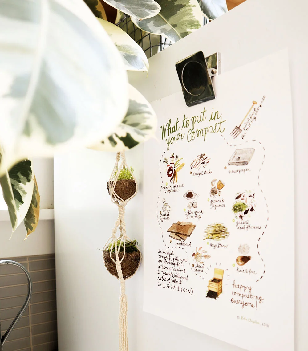 smallspace_airplant.jpg