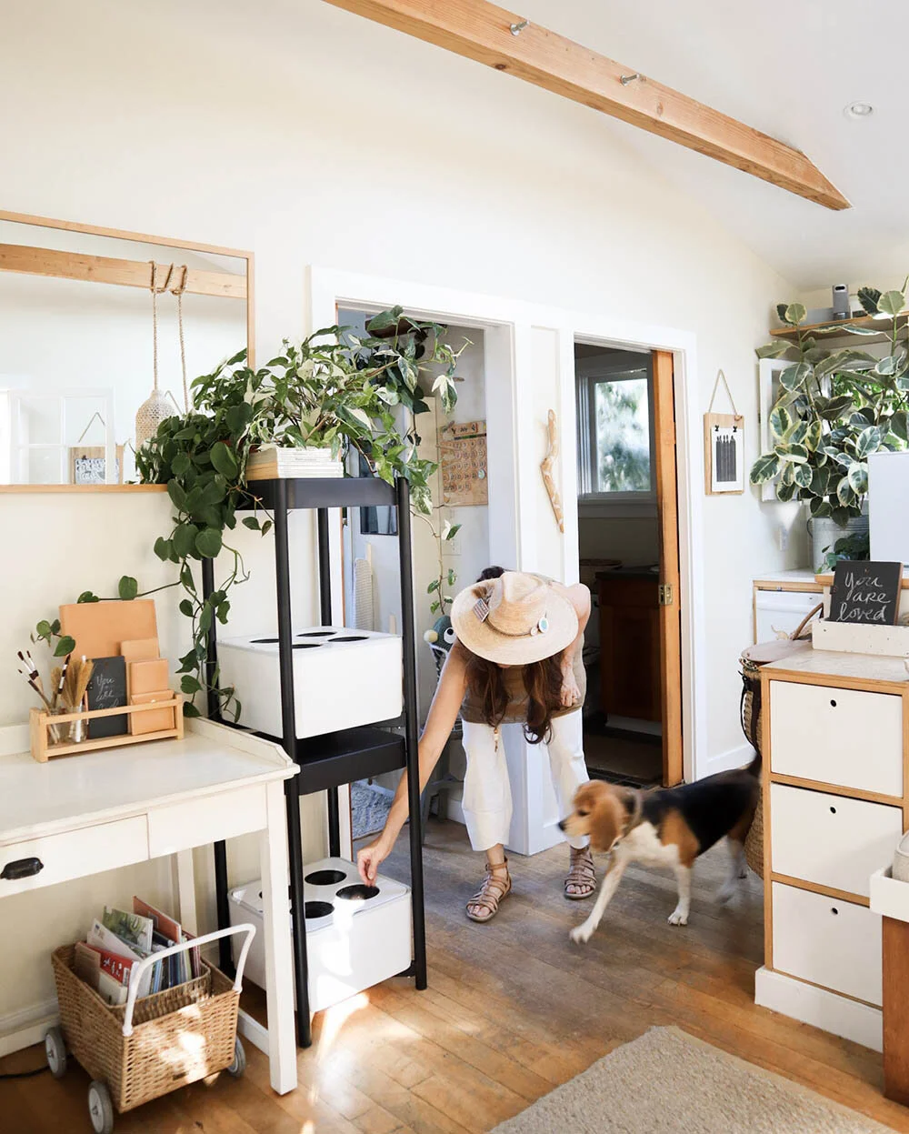 indoor_small_space_gardening_9.jpg