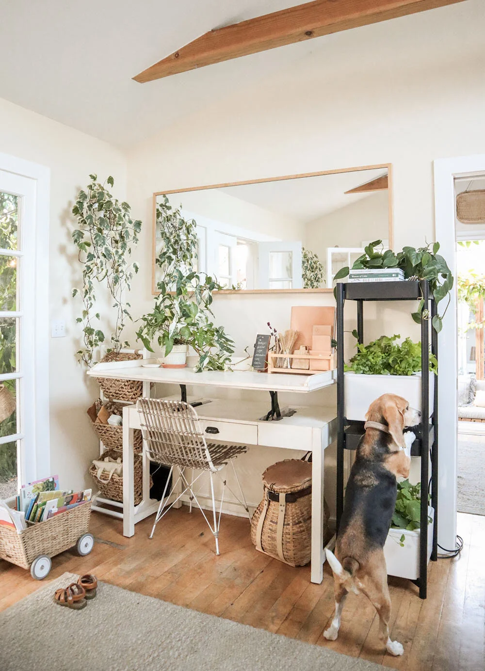 indoor_small_space_gardening_30.jpg