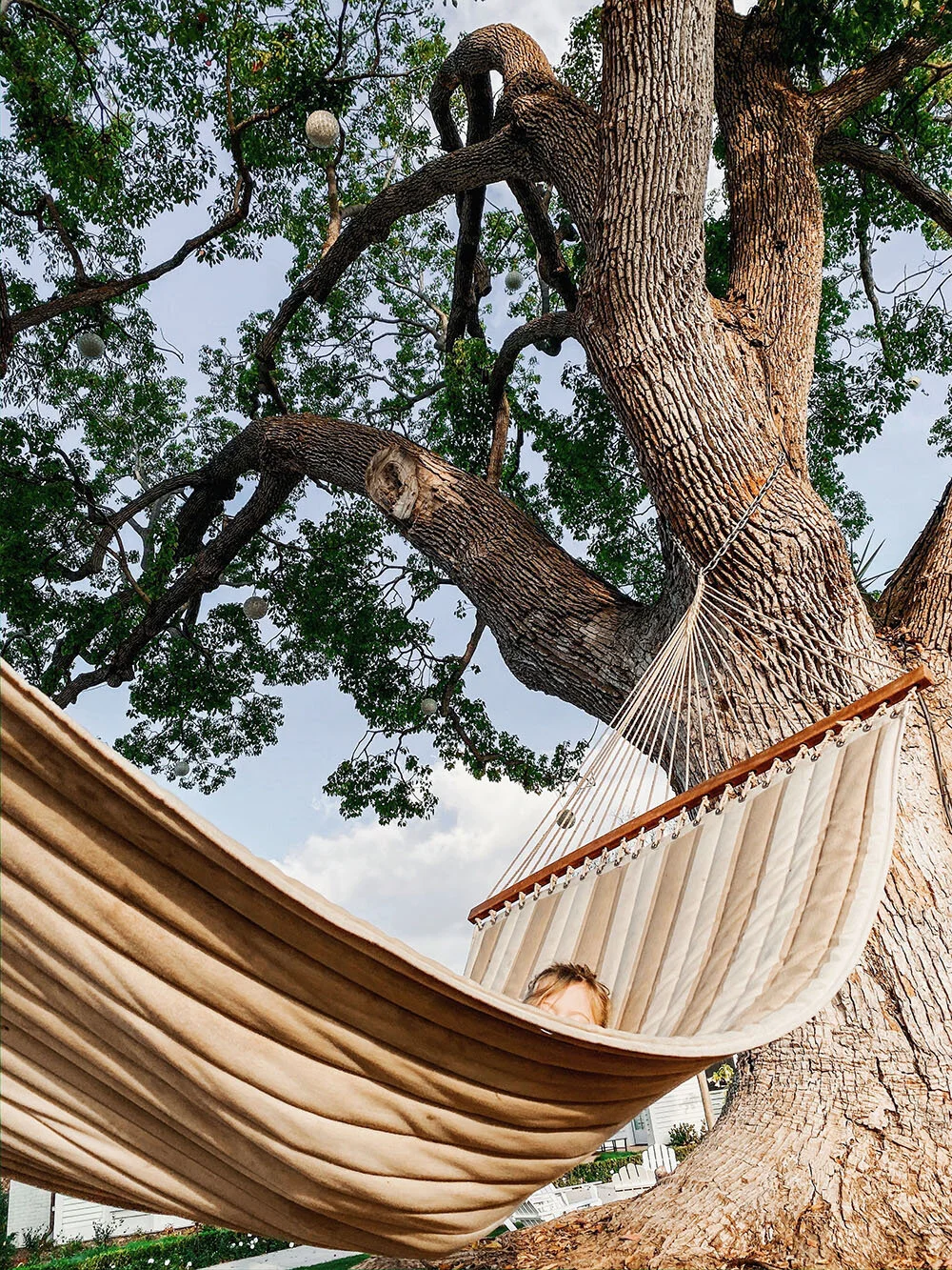 hammock.jpg