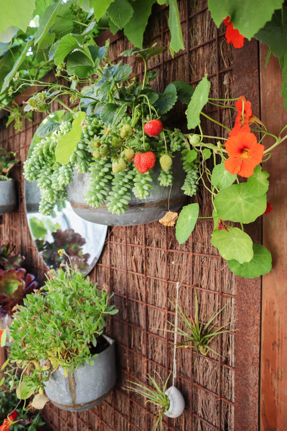 The Future We Choose - Regenerative Small Space Living
