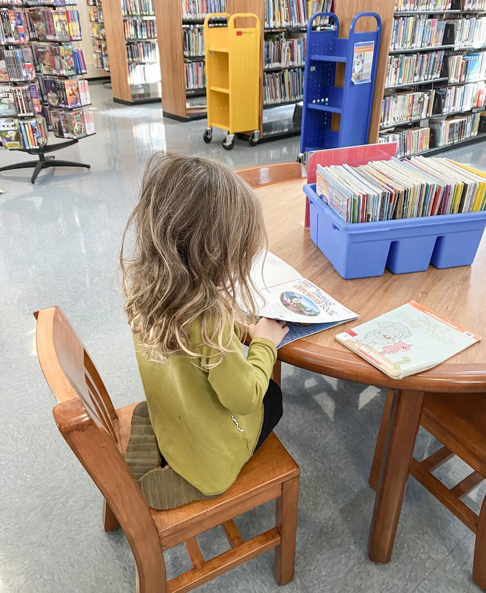 Library Book Roundup (2.16.20) — The Tiny Canal Cottage