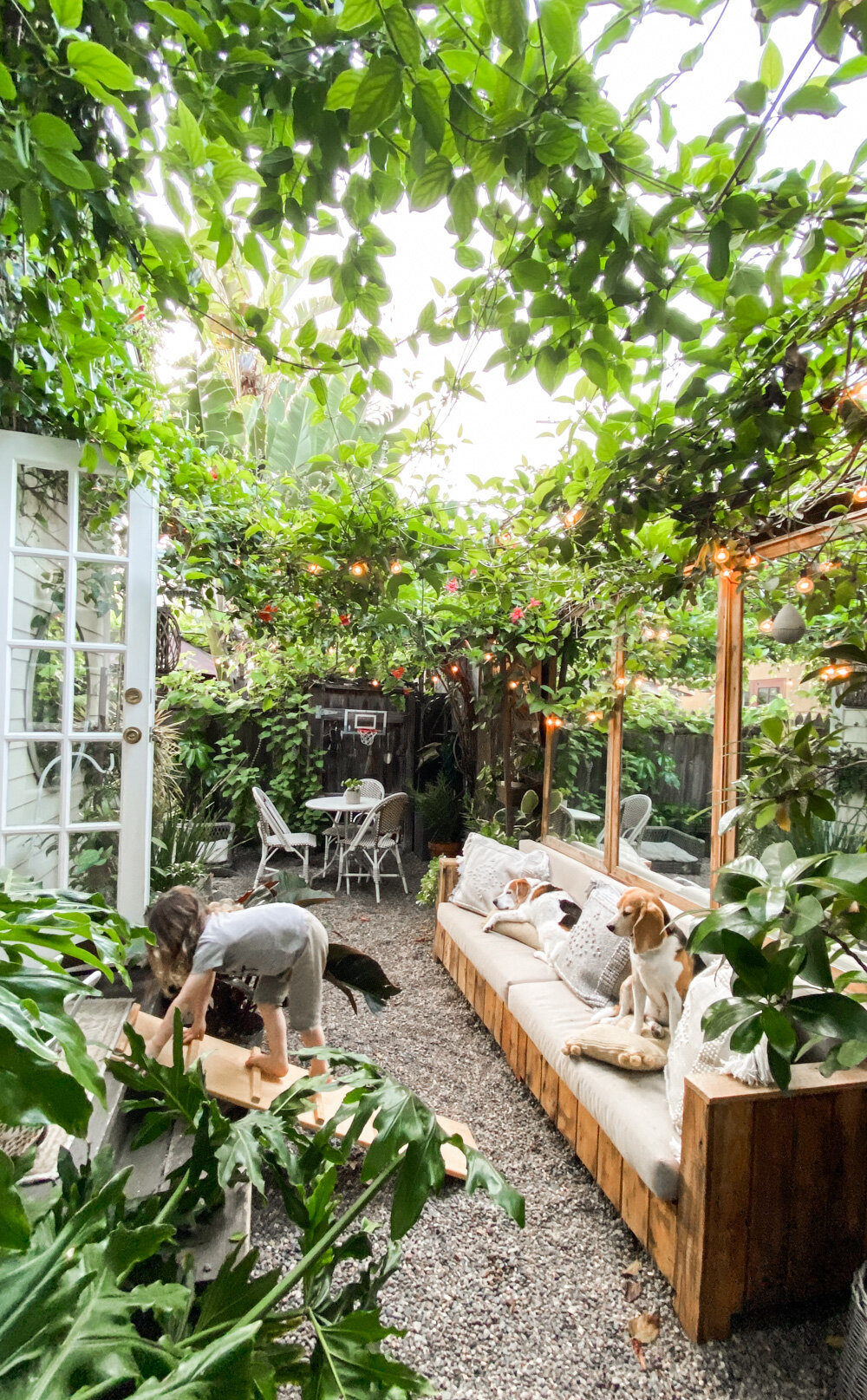 Before + After Creating a Canopy of Vines — The Tiny Canal Cottage