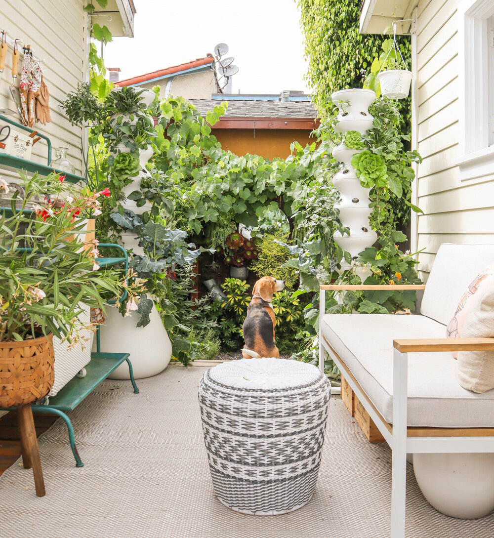 small-space-gardening-porch-grow-zone-2.jpg