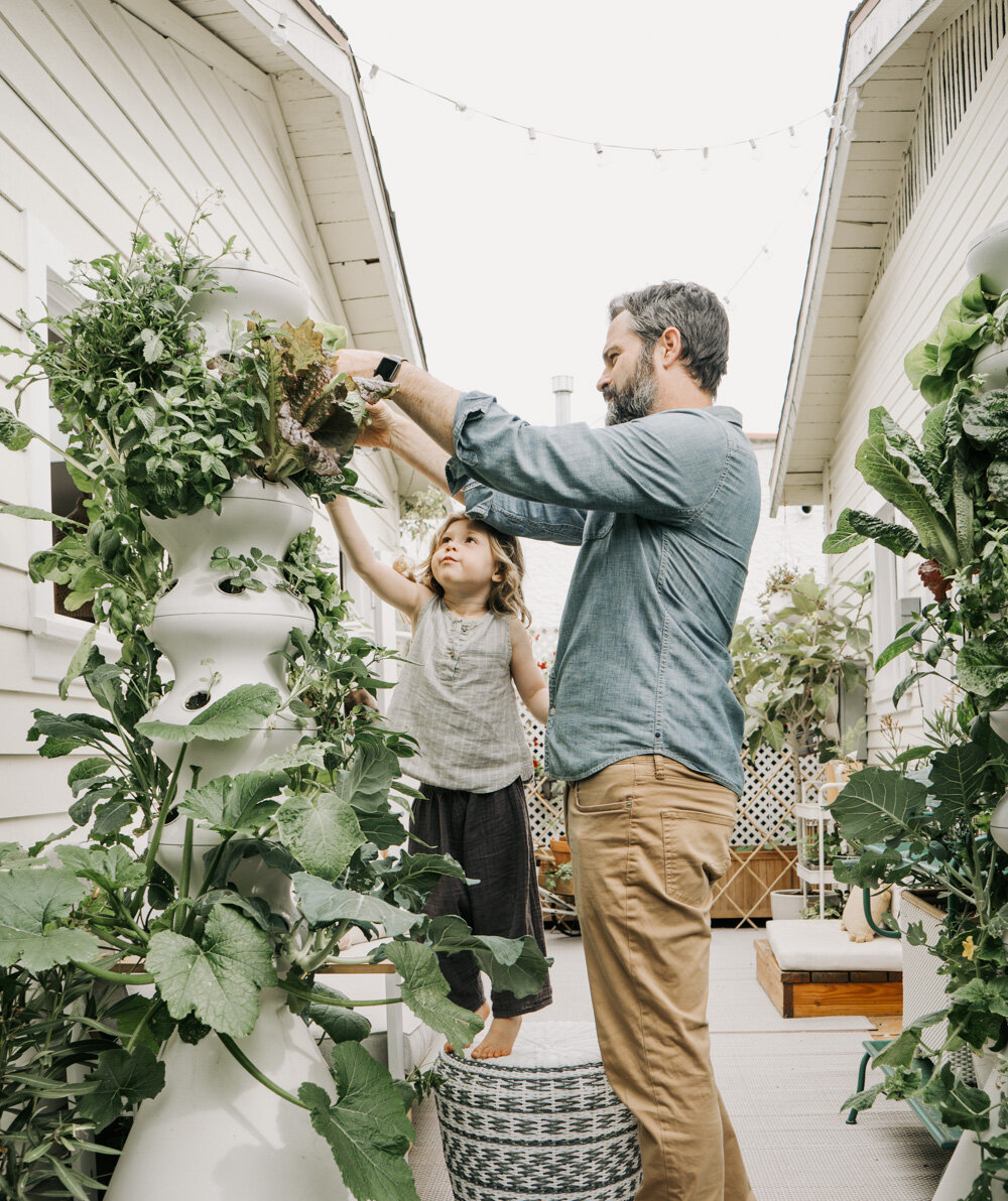 Image showcasing Composting in a Small Home and Garden (An Update) — The Tiny Canal Cottage