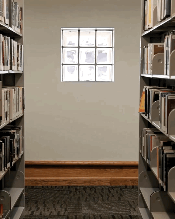 A Personal Ode to Public Libraries