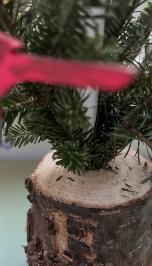 Sustainable, DIY Mini Christmas Tree — The Tiny Canal Cottage