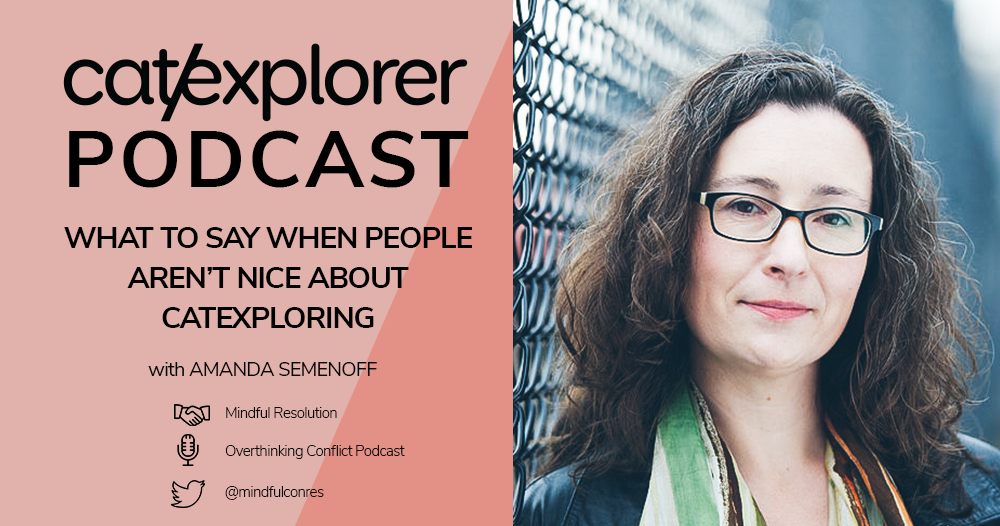 Conflict and Exploring the World with Cats