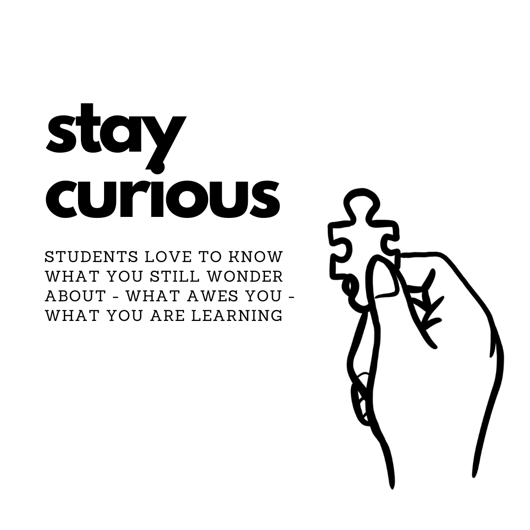 stay curious.png