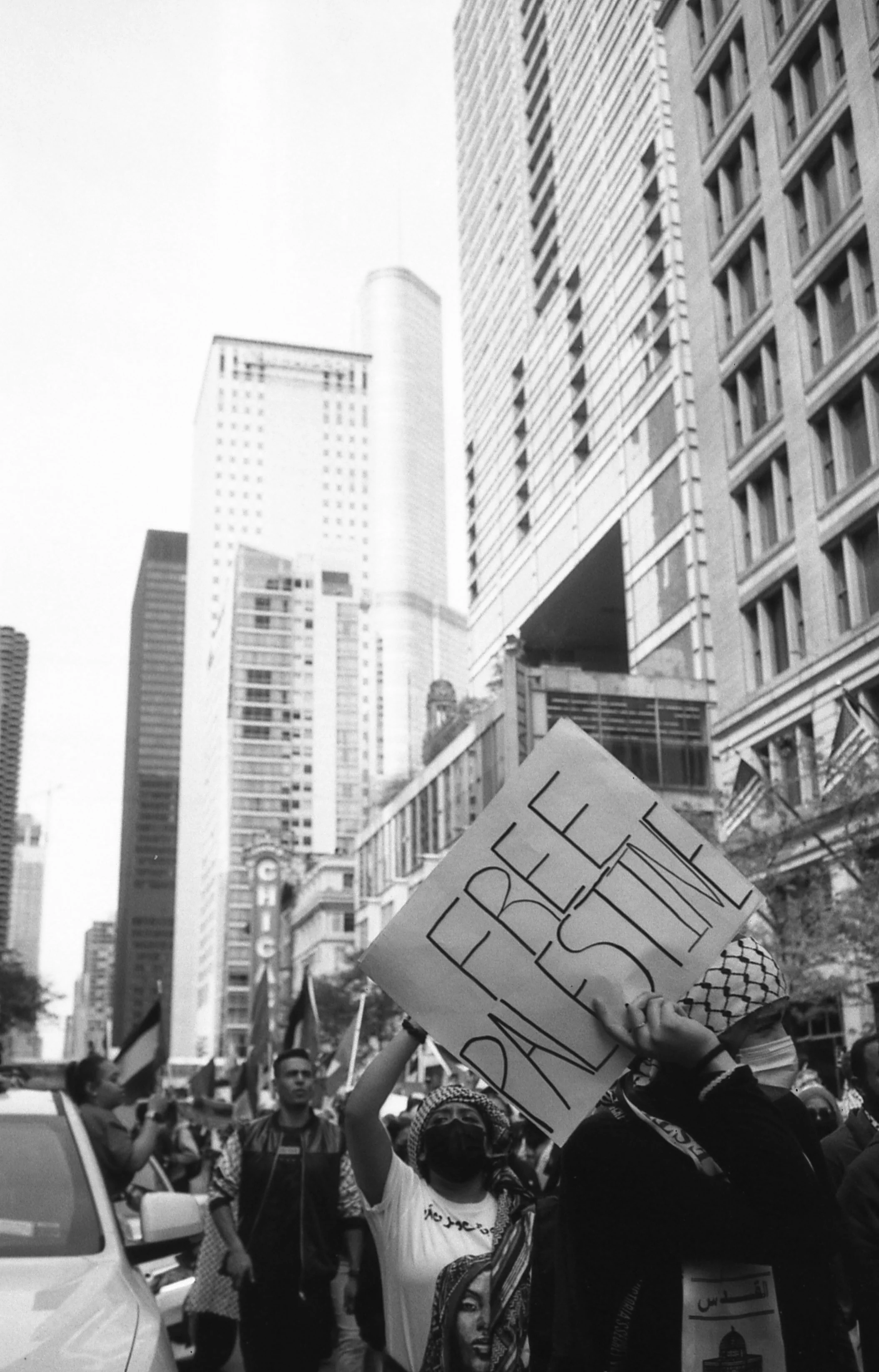 free palastine-1.jpg