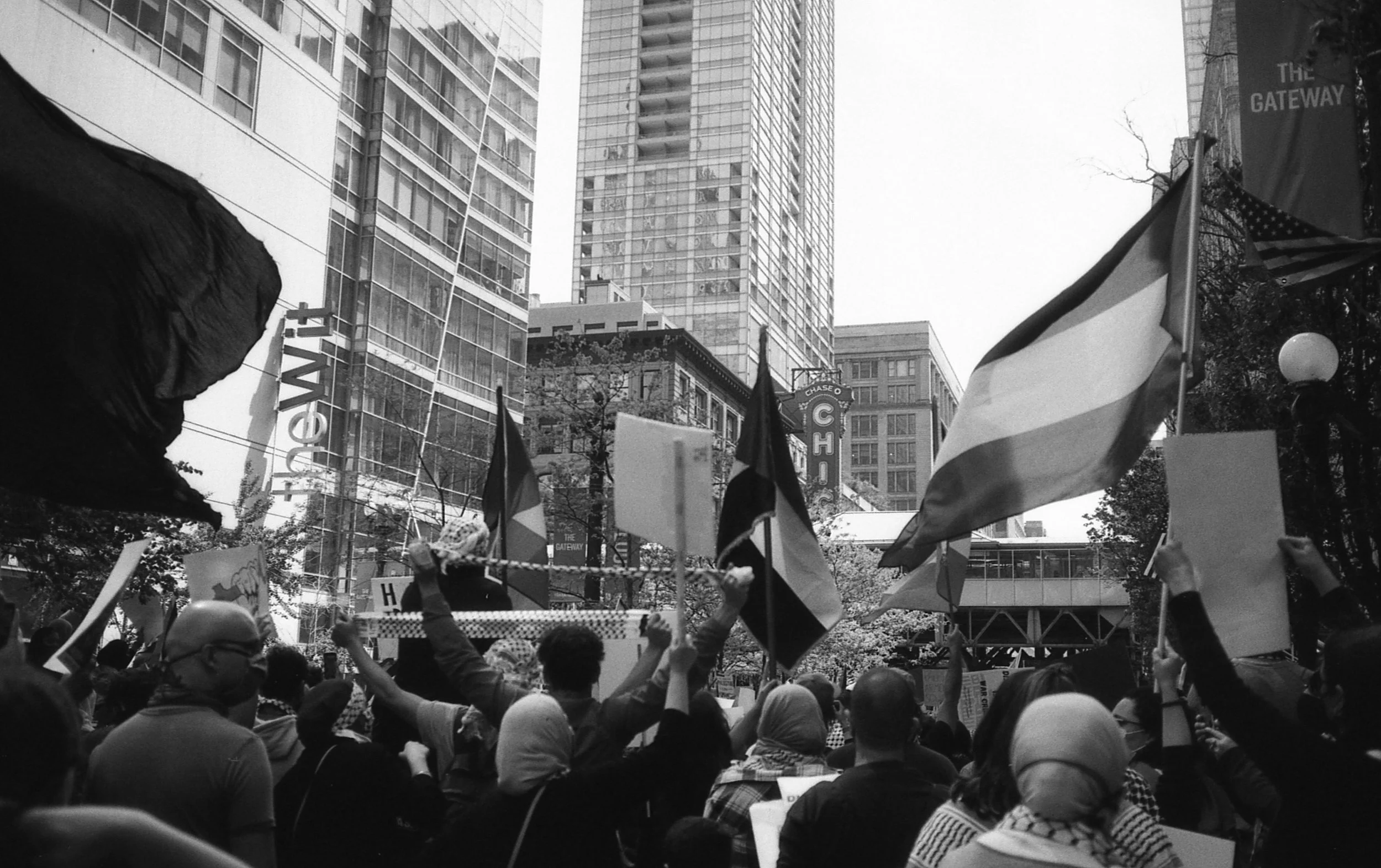 free palastine-8.jpg