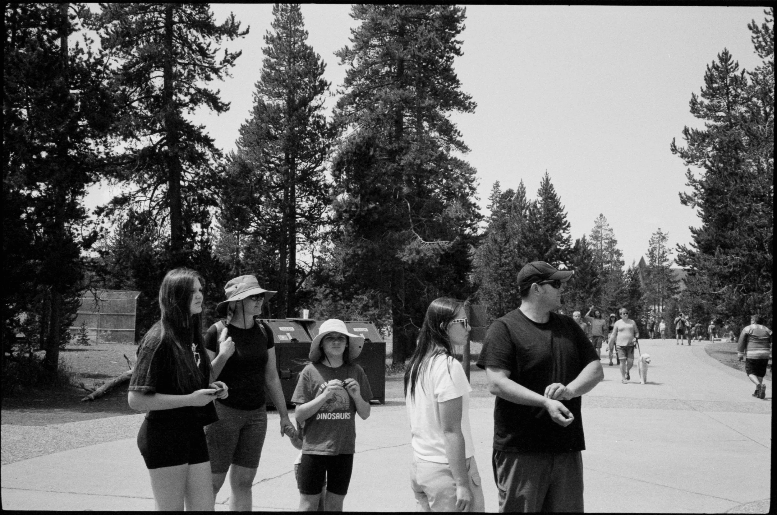 old faithful-5.jpg