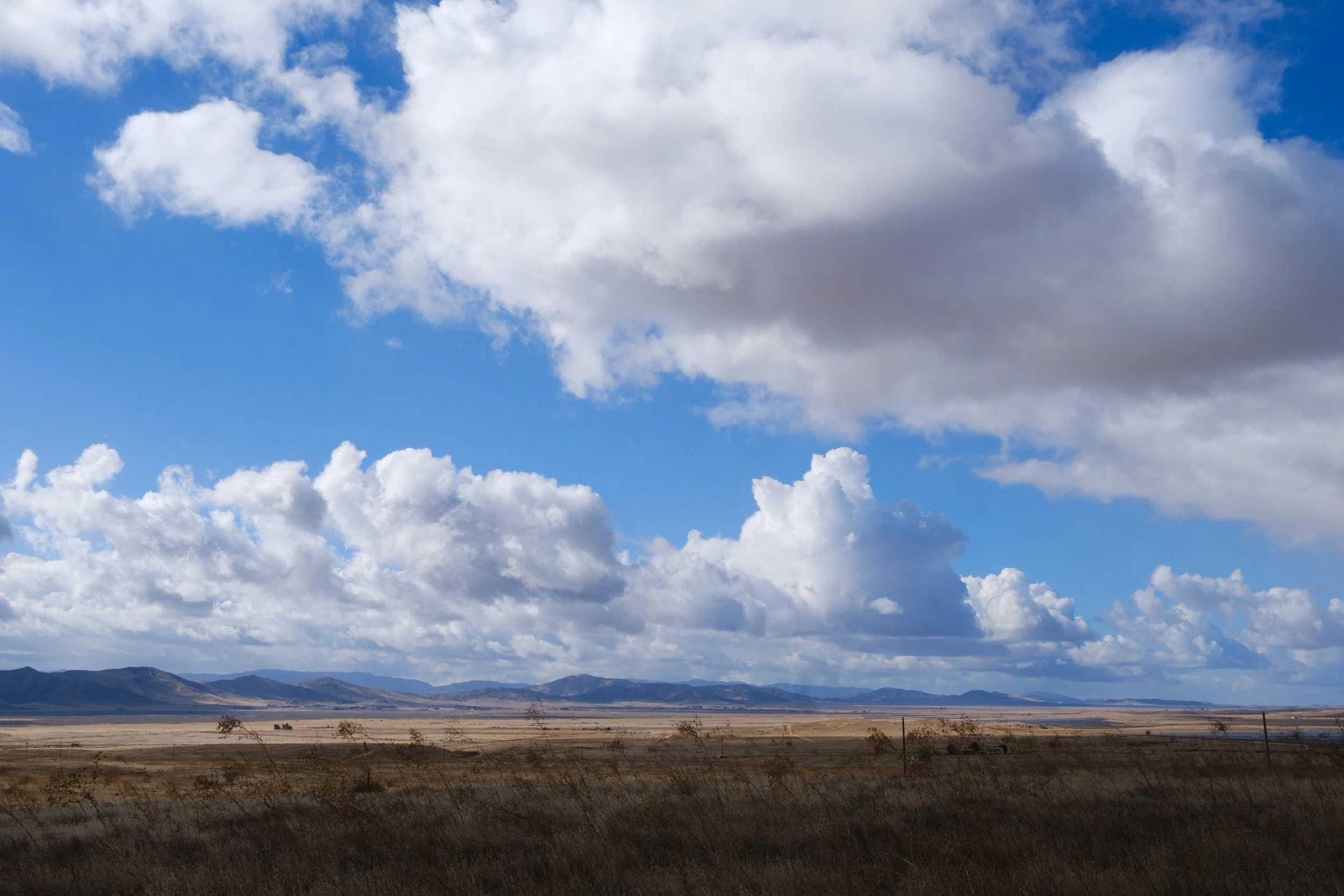 DSCF9565.jpg