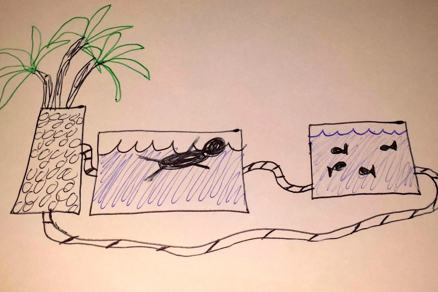 Eco-Tub