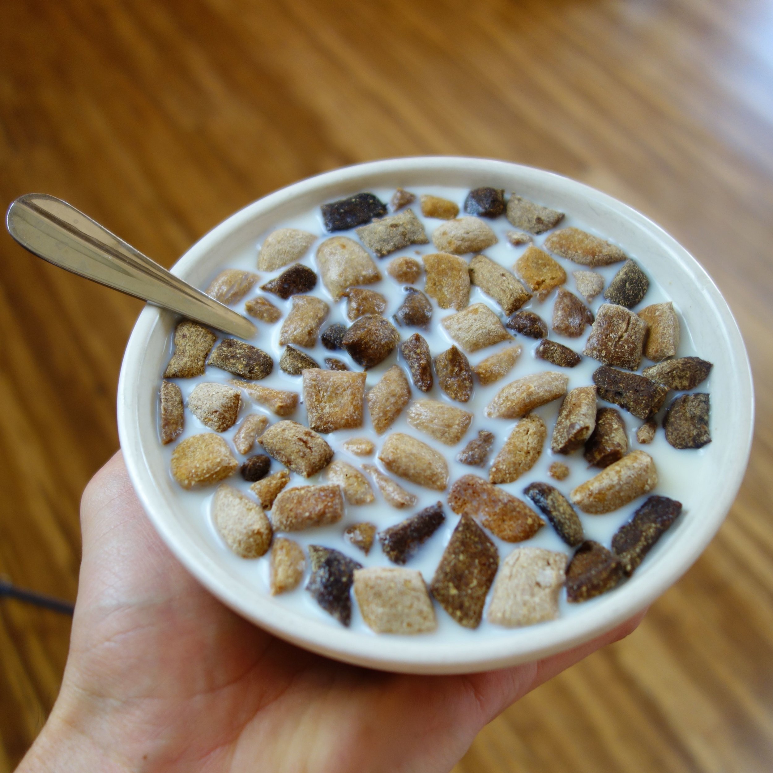 Just Crunch Cereal Bowl: Avoid Soggy Cereal